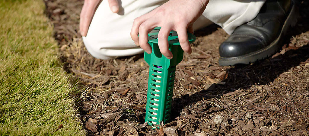 Sentricon termite bait station being placed in a garden bed