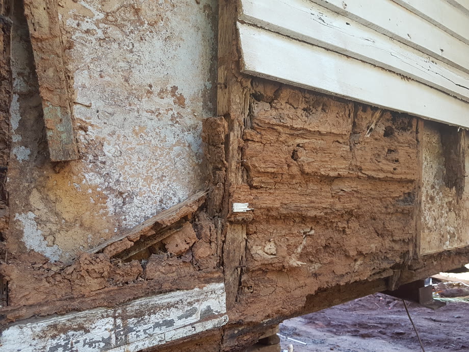 Severe termite damage to the structural timbers of a Sunshine Coast home
